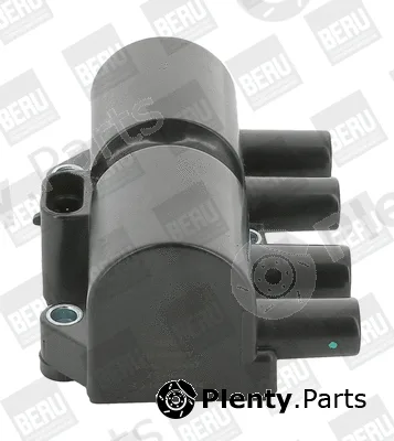 BorgWarner (BERU) ZS447A — Ignition Coil
