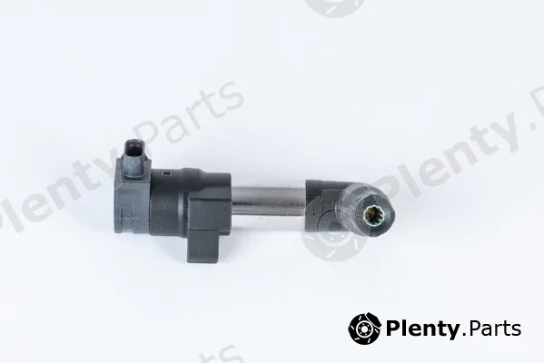 BorgWarner (BERU) ZSE253 — Ignition Coil