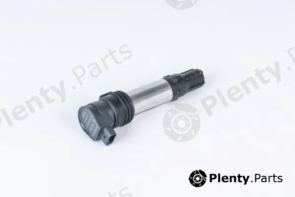 BorgWarner (BERU) ZSE256 — Ignition Coil