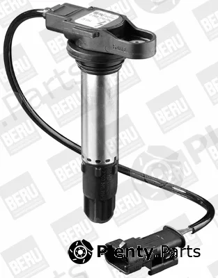 BorgWarner (BERU) ZS054 — Ignition Coil