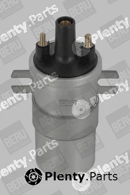 BorgWarner (BERU) ZS565 — Ignition Coil