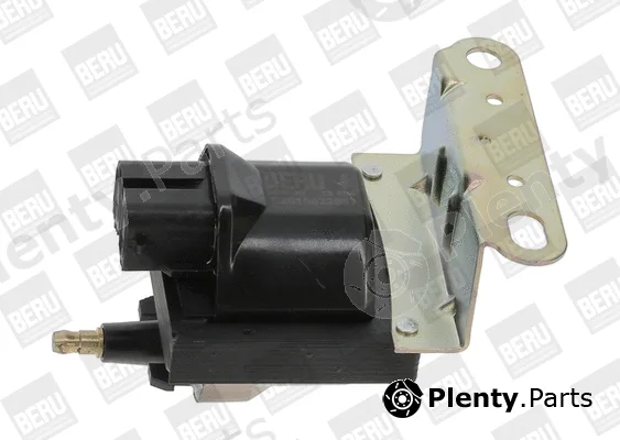 BorgWarner (BERU) ZS554 — Ignition Coil
