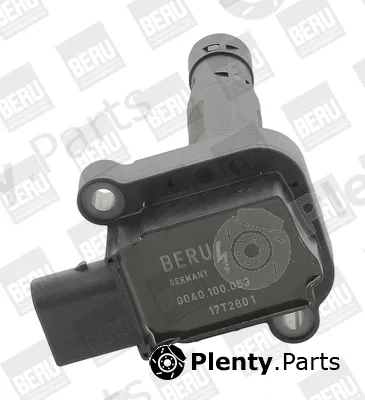 BorgWarner (BERU) ZS053 — Ignition Coil