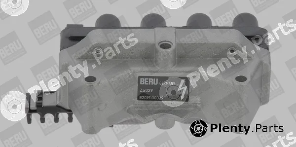 BorgWarner (BERU) ZS029 — Ignition Coil