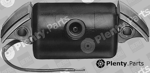 BorgWarner (BERU) ZA501 — Ignition Coil