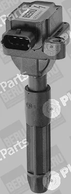 BorgWarner (BERU) 0040100033 — Ignition Coil