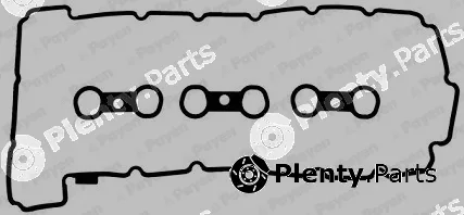 Payen HM5278 — Gasket Set, cylinder head cover