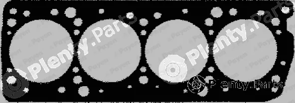 Payen BT441 — Gasket, cylinder head