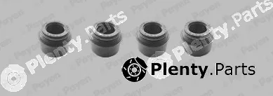 Payen HR5129 — Seal Set, valve stem
