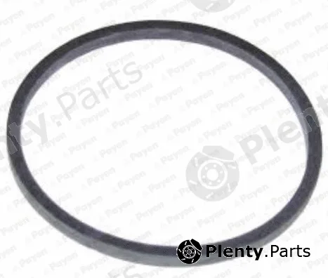Payen KK5738 — Seal Ring, oil cooler