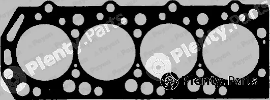 Payen BJ600 — Gasket, cylinder head
