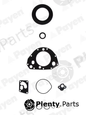 Payen ER322 — Gasket Kit, crankcase