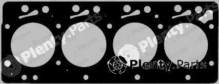 Payen AY190 — Gasket, cylinder head