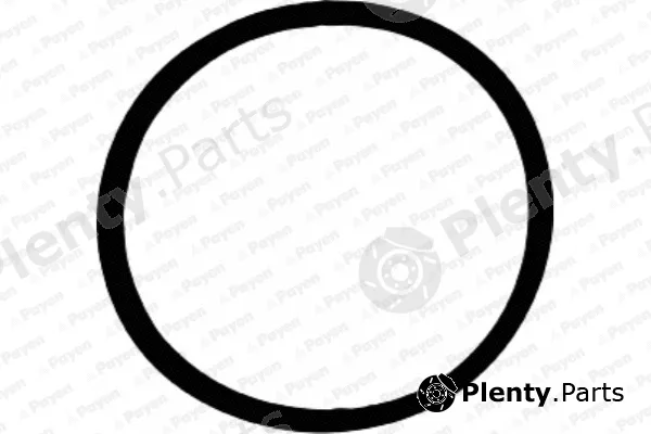 Payen JD5228 — Gasket, intake manifold
