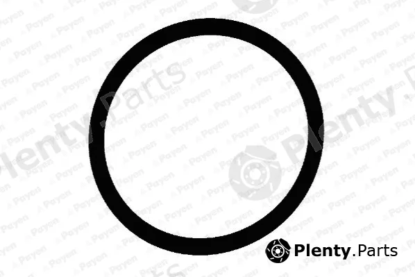 Payen LA5204 — Gasket, intake manifold