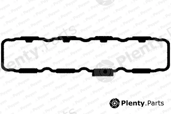 Payen JM5086 — Gasket, cylinder head cover