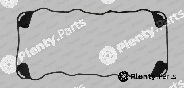 Payen JN414 — Gasket, cylinder head cover