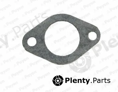Payen KA293 — Gasket, water pump