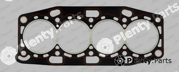 Payen BT890 — Gasket, cylinder head