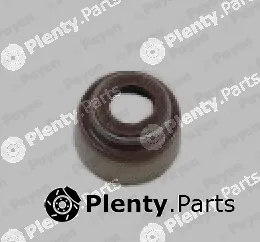 Payen PA305 — Seal Ring, valve stem