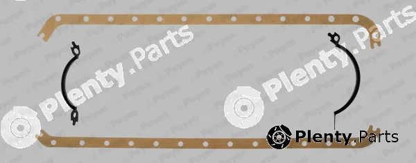 Payen HC479 — Gasket Set, oil sump