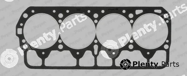 Payen BP190 — Gasket, cylinder head