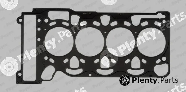 Payen AC5440 — Gasket, cylinder head