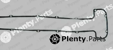 Payen JM536 — Gasket, cylinder head cover