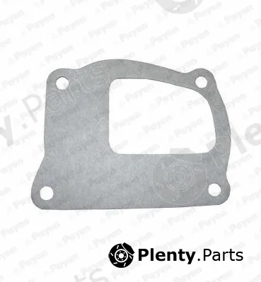 Payen KA499 — Gasket, water pump