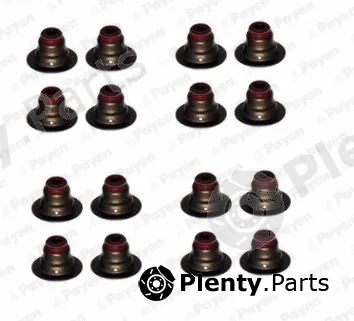 Payen HR5127 — Seal Set, valve stem
