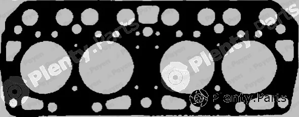 Payen BF350 — Gasket, cylinder head