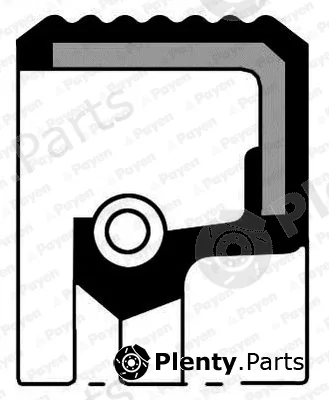 Payen NA5016 — Shaft Seal, crankshaft