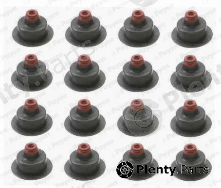 Payen HR5072 — Seal Set, valve stem