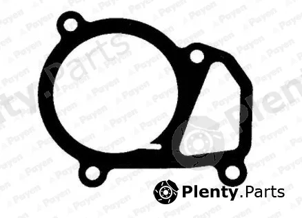 Payen KK5684 — Seal, thermostat
