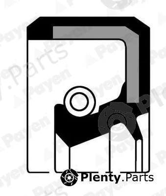 Payen NJ186 — Shaft Seal, differential