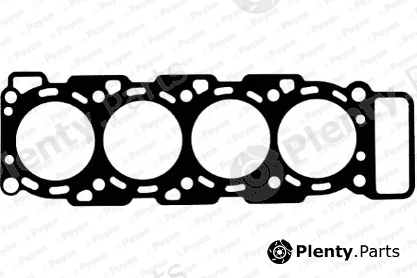 Payen AE5310 — Gasket, cylinder head