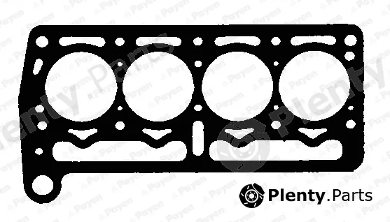 Payen BP030 — Gasket, cylinder head