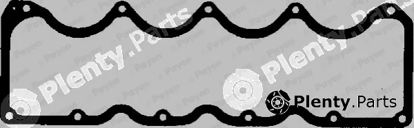 Payen JN697 — Gasket, cylinder head cover