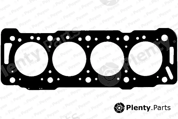 Payen AA5870 — Gasket, cylinder head