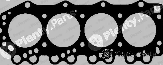 Payen BL880 — Gasket, cylinder head