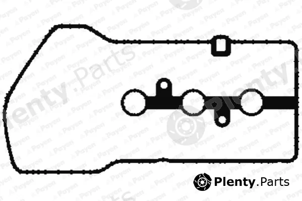 Payen JM7042 — Gasket, cylinder head cover