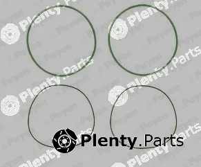 Payen HL5190 — O-Ring Set, cylinder sleeve