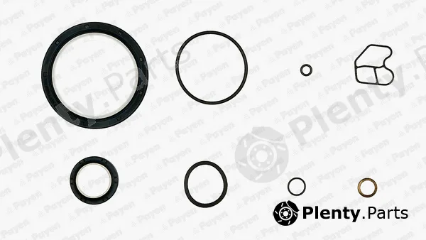 Payen EF5990 — Gasket Kit, crankcase
