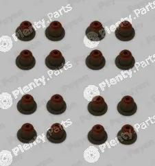 Payen HR5110 — Seal Set, valve stem