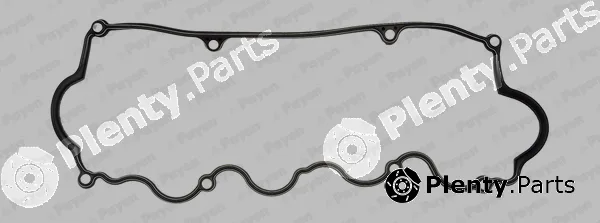 Payen JM5277 — Gasket, cylinder head cover