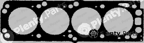 Payen BS260 — Gasket, cylinder head