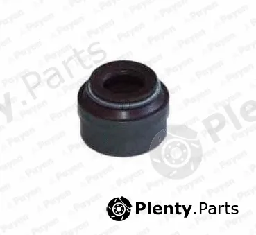 Payen PA6110 — Seal Ring, valve stem
