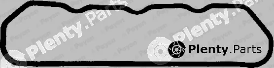 Payen JN245 — Gasket, cylinder head cover