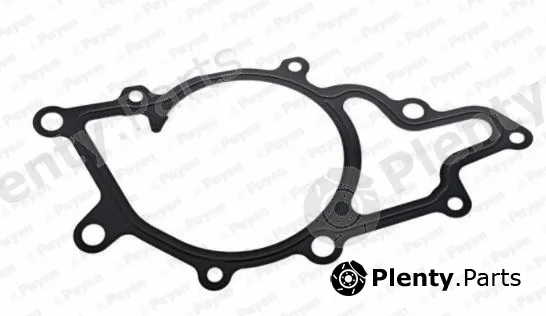 Payen KA5036 — Gasket, water pump