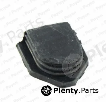 Payen LV943 — Plug, rocker arm shaft mounting bore